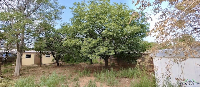 view of yard featuring a storage shed