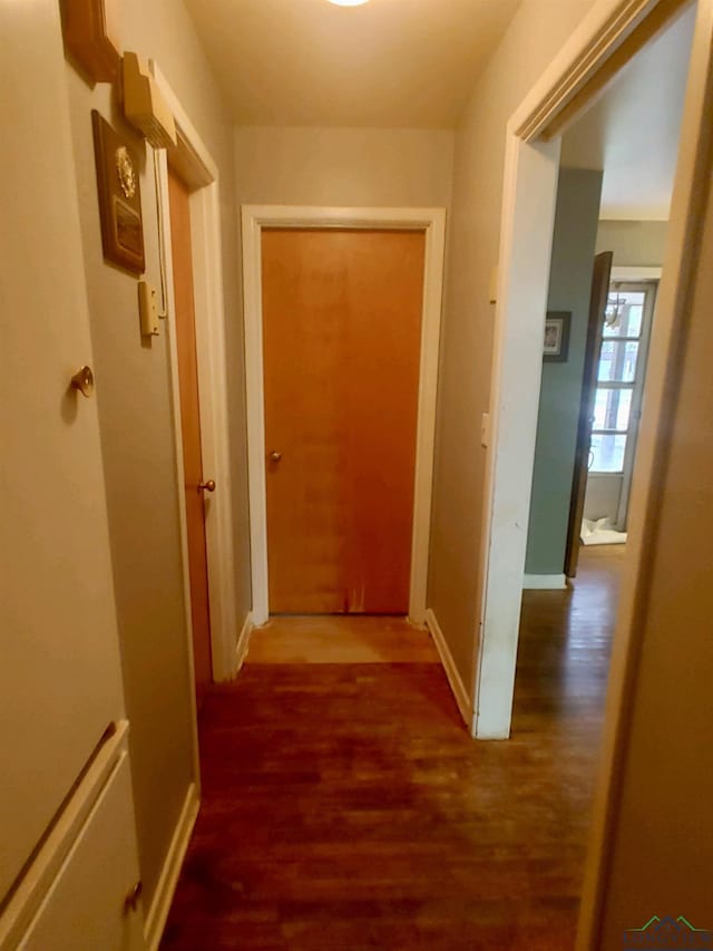 hall featuring dark hardwood / wood-style flooring