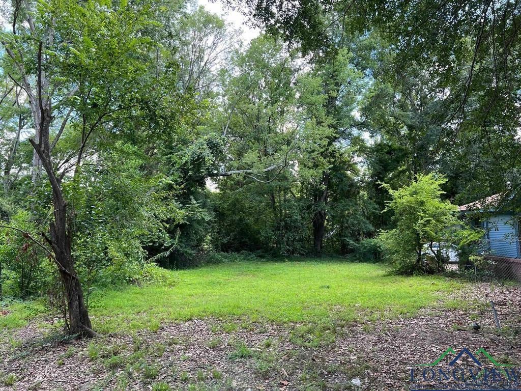 810 W Nelson St, Longview, TX 75601 - photo 1
