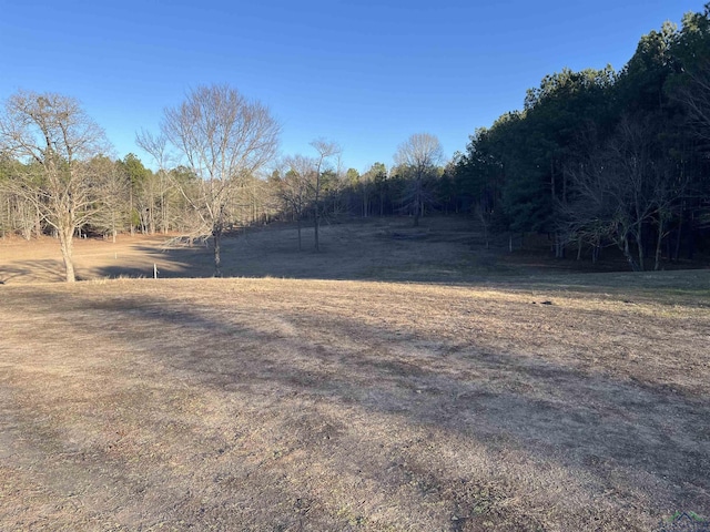 view of yard with a rural view