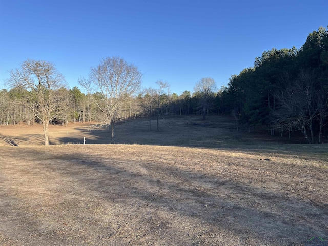 view of yard featuring a rural view