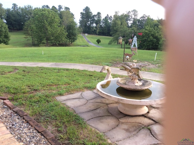 view of community featuring a lawn