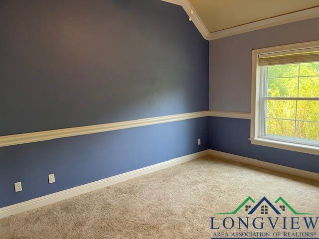 spare room featuring lofted ceiling, crown molding, and carpet floors