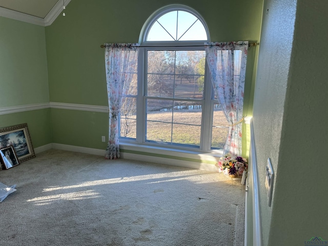 spare room with carpet flooring and crown molding