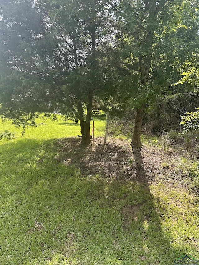 TBD Cooks Rd, Marshall, TX 75670 - photo 3