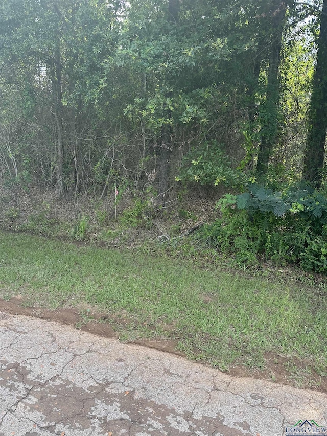 TBD Cooks Rd, Marshall, TX 75670 - photo 2