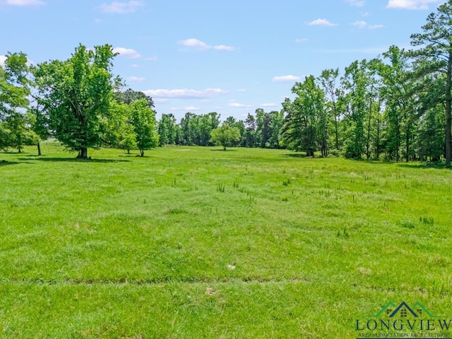 TBD S Fm 1002, Big Sandy, TX 75755