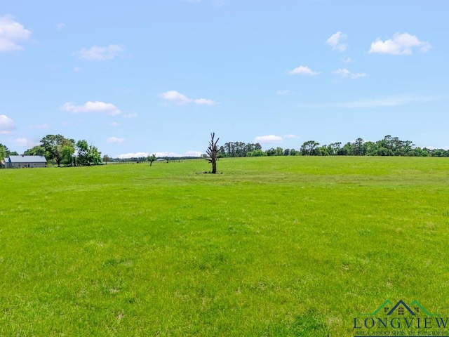 TBD S Fm 1002, Big Sandy, TX 75755