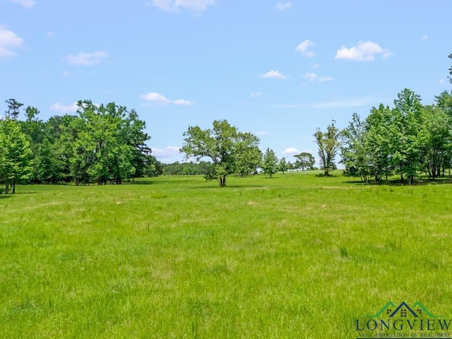 TBD S Fm 1002, Big Sandy, TX 75755