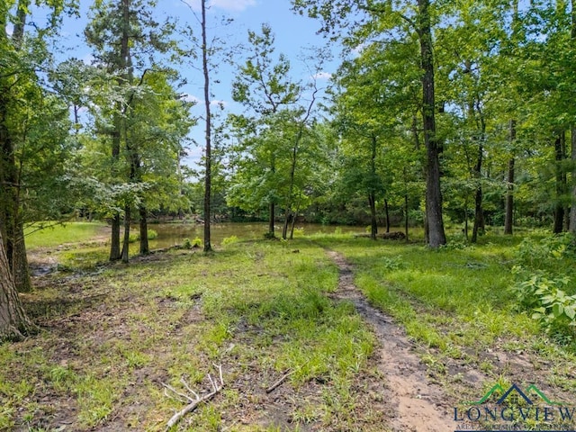 TBD S Fm 1002, Big Sandy, TX 75755