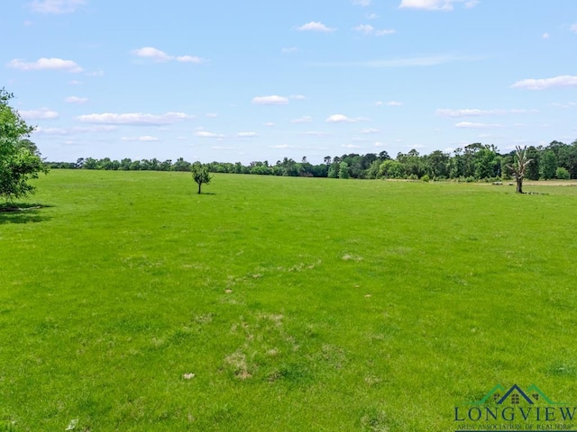 TBD S Fm 1002, Big Sandy, TX 75755