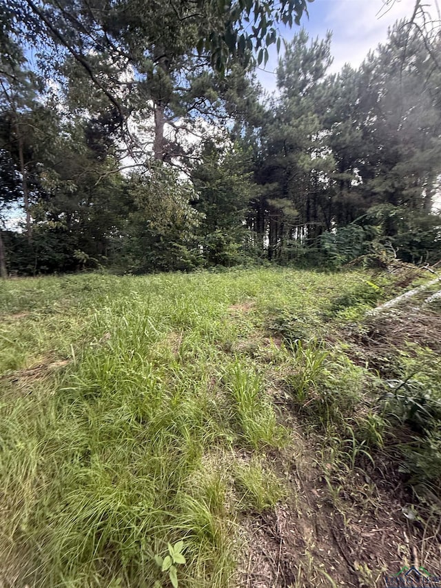 727 Fm 2088, Gilmer, TX 75644 - photo 16