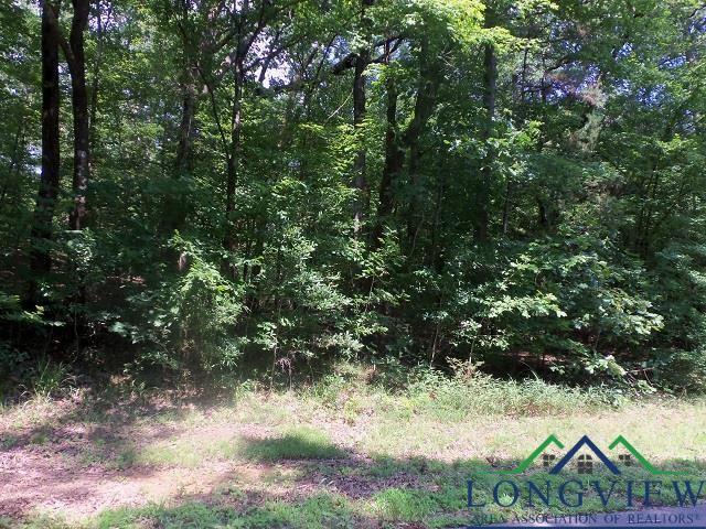 TBD--LOT9 Willow Springs Rd, Kilgore TX, 75662 land for sale