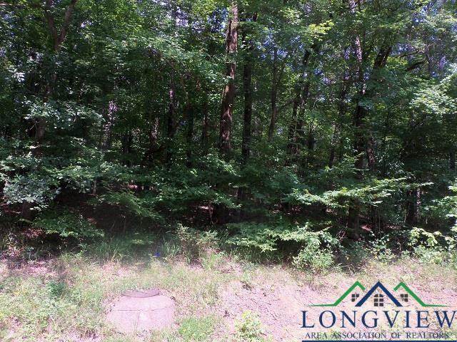 Listing photo 2 for TBD--LOT9 Willow Springs Rd, Kilgore TX 75662