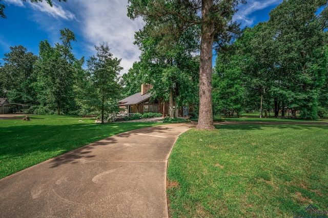 117 Joni Ln, Kilgore, TX 75662 - photo 47