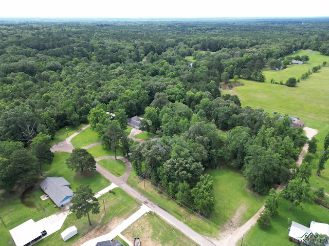 117 Joni Ln, Kilgore, TX 75662 - photo 48