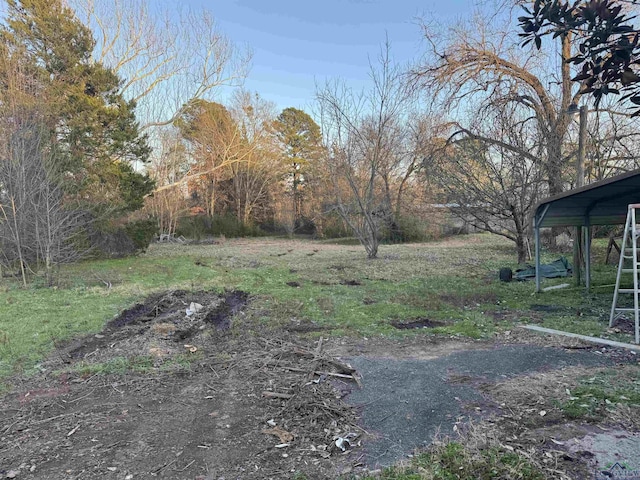 view of yard featuring a carport