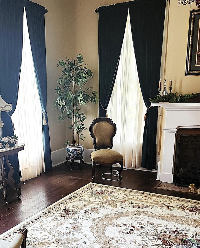 living area featuring dark hardwood / wood-style flooring