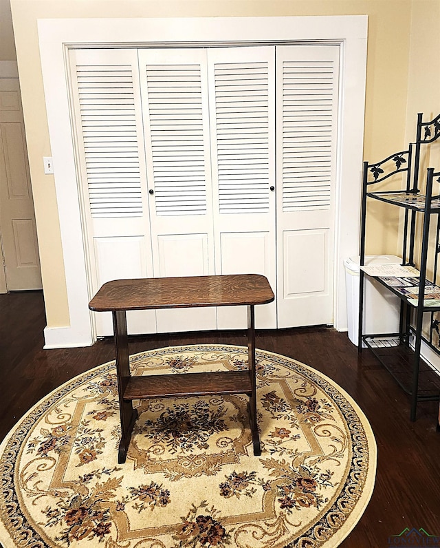 miscellaneous room featuring dark wood-type flooring