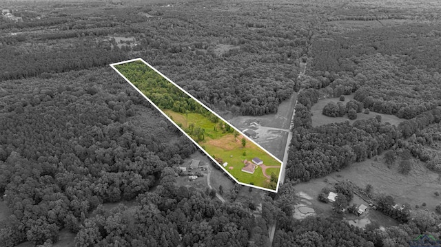 1557 Driskell Bridge Rd, Harleton, TX 75651 - photo 39