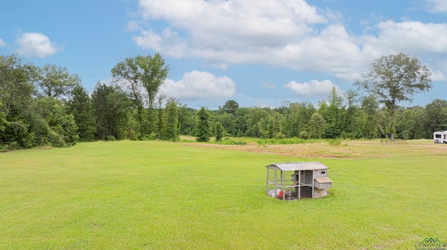1557 Driskell Bridge Rd, Harleton, TX 75651 - photo 47