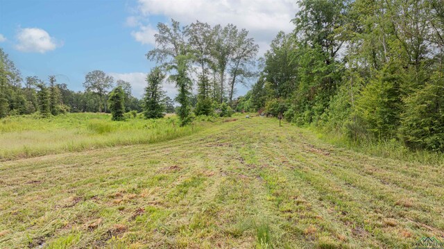 1557 Driskell Bridge Rd, Harleton, TX 75651 - photo 45