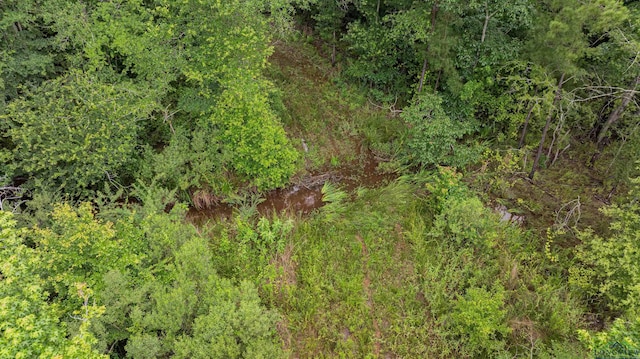 1557 Driskell Bridge Rd, Harleton, TX 75651 - photo 43