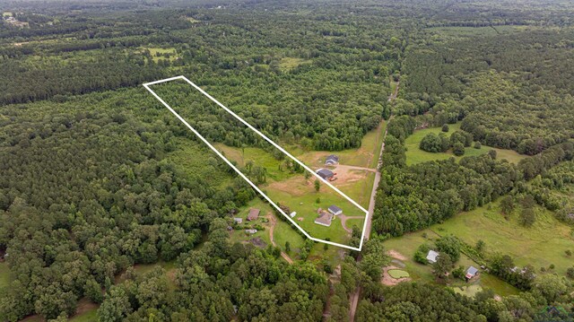 1557 Driskell Bridge Rd, Harleton, TX 75651 - photo 38