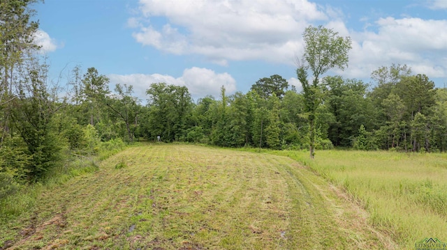 1557 Driskell Bridge Rd, Harleton, TX 75651 - photo 46