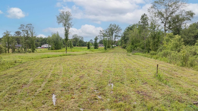 1557 Driskell Bridge Rd, Harleton, TX 75651 - photo 44