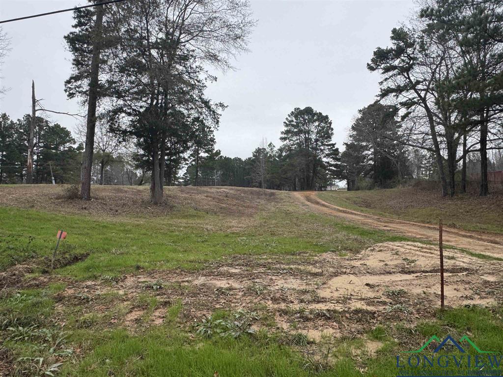 510 W Sterling Price St, Tatum, TX 75691 - photo 3