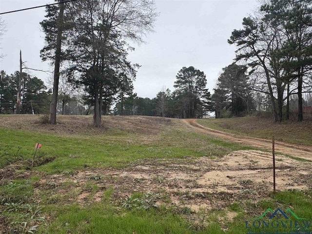 510 W Sterling Price St, Tatum, TX 75691 - photo 3