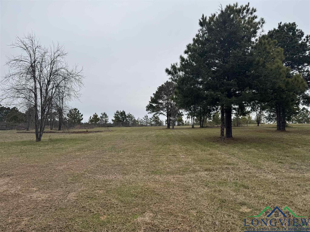 510 W Sterling Price St, Tatum, TX 75691 - photo 2