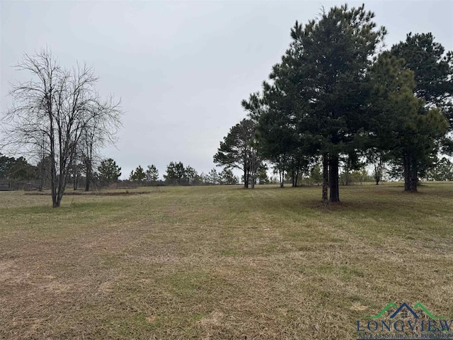 510 W Sterling Price St, Tatum, TX 75691 - photo 2