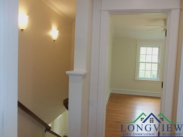 hallway with hardwood / wood-style flooring and crown molding