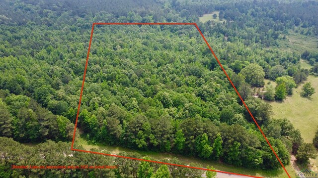 TBD Fm 2888, Naples, TX 75568
