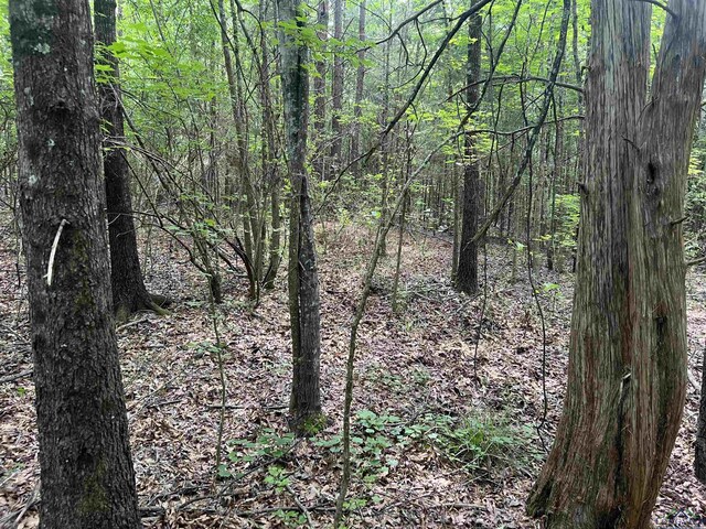 TBD Fm 2888, Naples, TX 75568