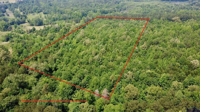 TBD Fm 2888, Naples, TX 75568