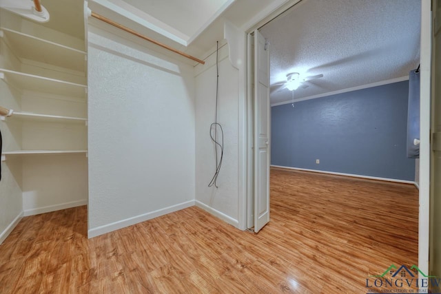 interior space featuring light hardwood / wood-style flooring