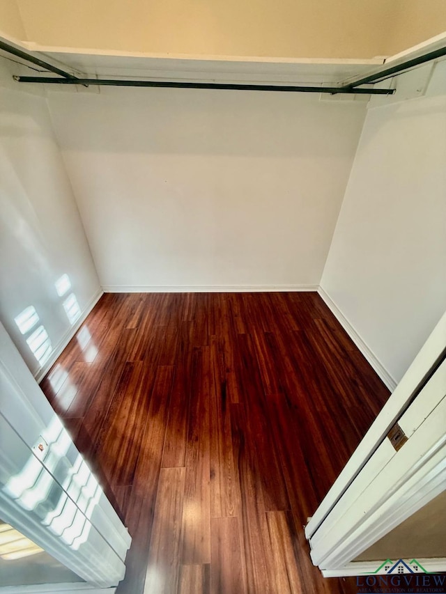 spacious closet with wood-type flooring