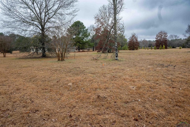 Listing photo 3 for TBD Cr 3271, Mineola TX 75773