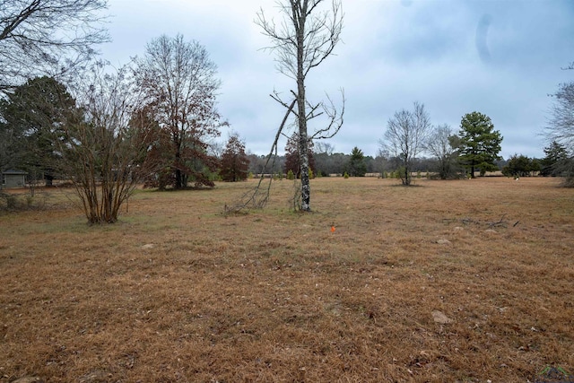 Listing photo 2 for TBD Cr 3271, Mineola TX 75773