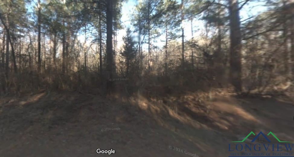 TBD Liberty Rd, Jefferson, TX 75657 - photo 1