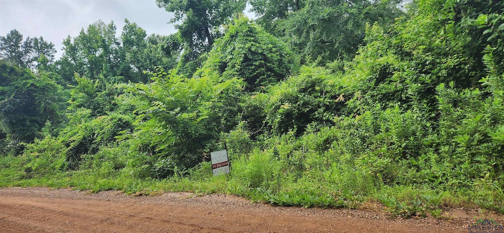 TBD Liberty Rd, Jefferson, TX 75657 - photo 3