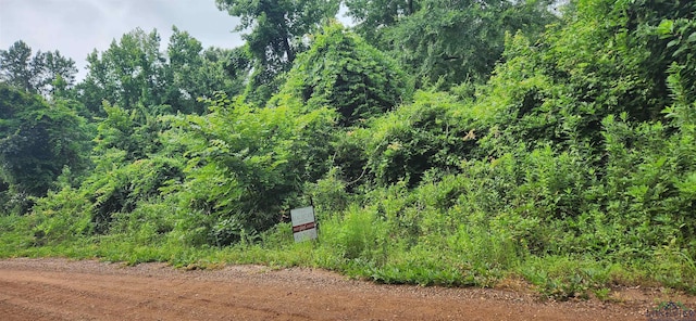 TBD Liberty Rd, Jefferson, TX 75657 - photo 3