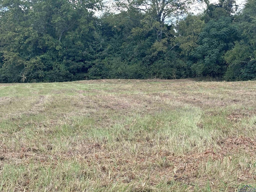 TBD W Loop 281, Longview, TX 75064 - photo 1