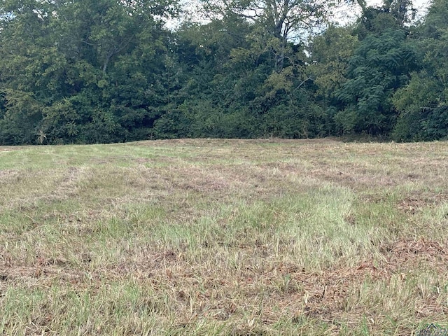 TBD W Loop 281, Longview, TX 75064 - photo 1