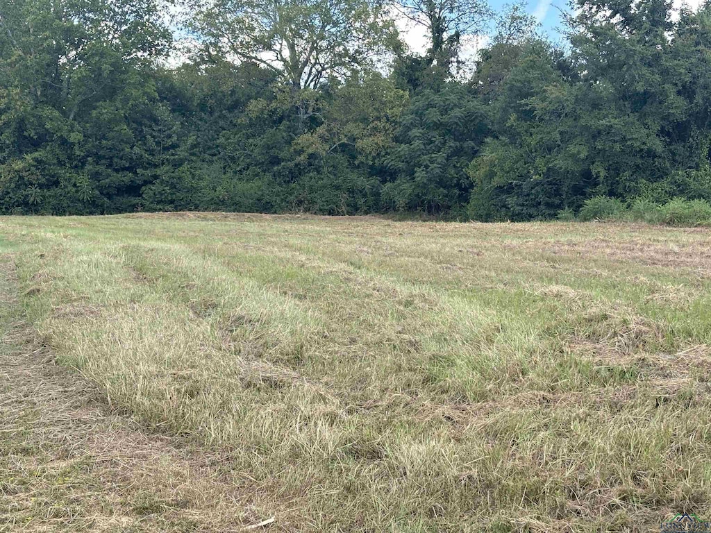 TBD W Loop 281, Longview, TX 75064 - photo 2