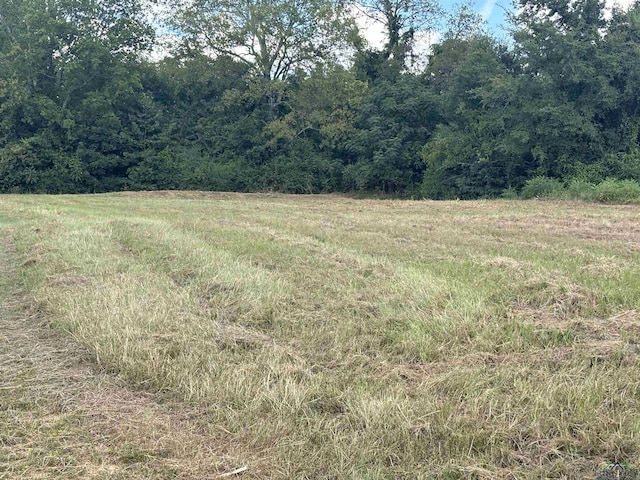 TBD W Loop 281, Longview, TX 75064 - photo 2