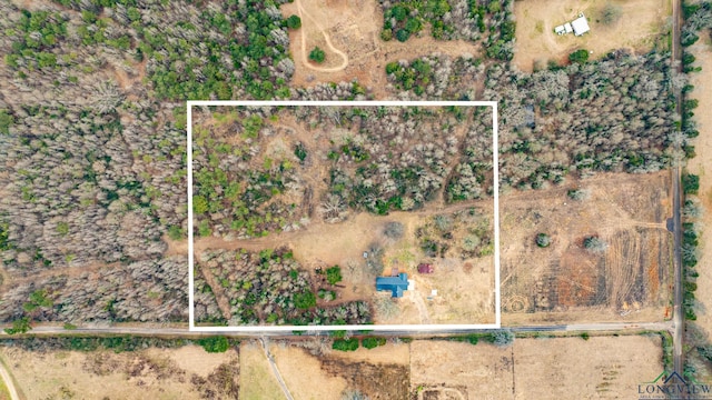 1255 County Road 4305, Naples, TX 75568 - view of property location with property boundaries highlighted